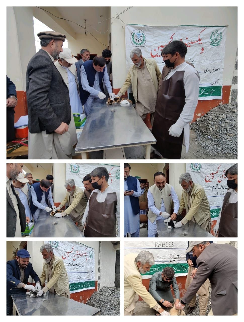 Vaccination of Pet Dogs and Cat has started in Gilgit City and Juglote. Livestock & Dairy Dev. Department GB has started its First Step toward Vaccination against Rabies. Initially this facility is available in Vet Hospital Gilgit, Danyore & Juglote.